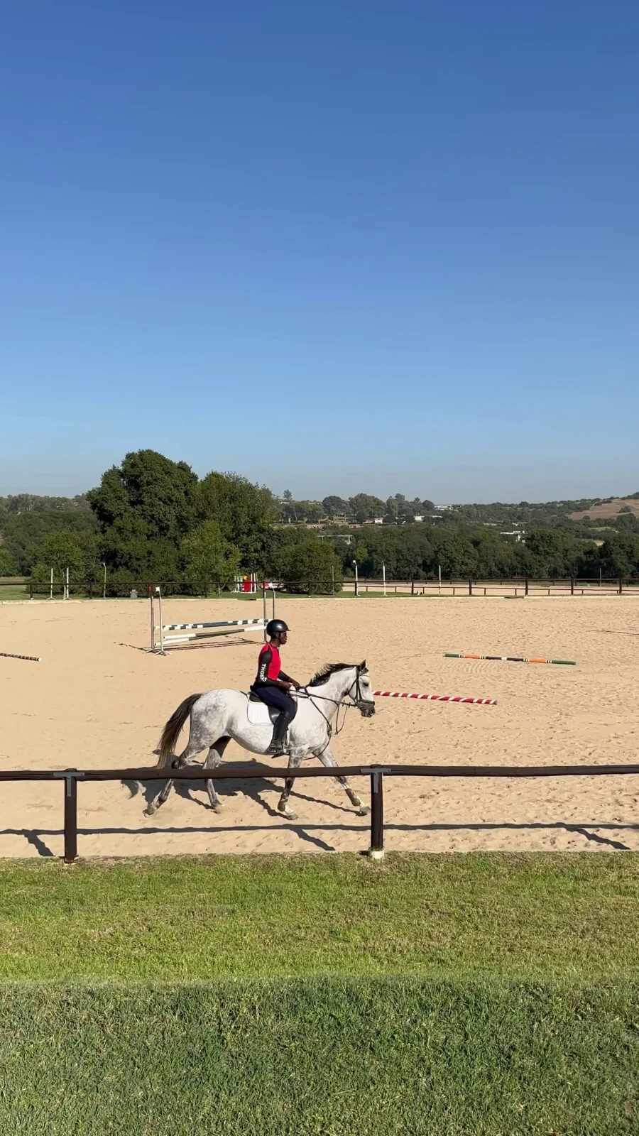 Rider on a grey horse in the fenced arena at Monaghan Farm
