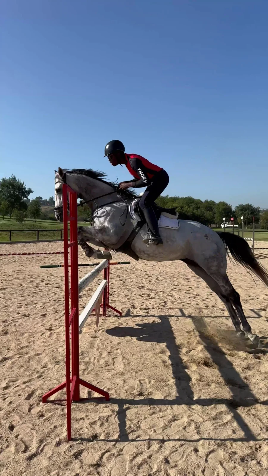 Grey horse and rider jumping in the sand arena