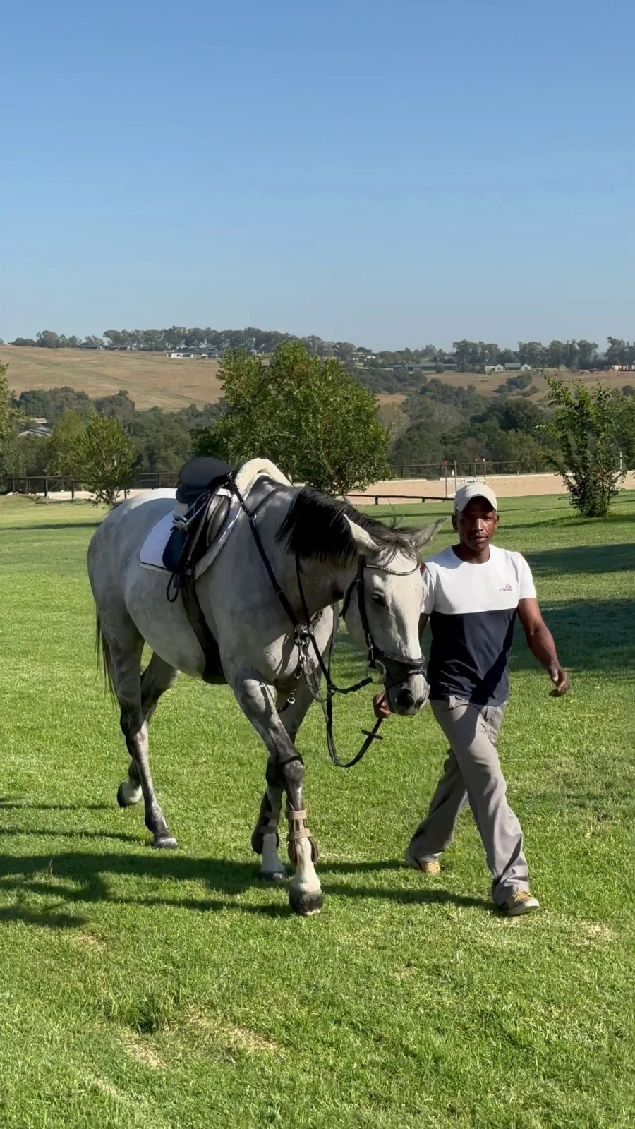 Groom leading a grey horse across the paddock